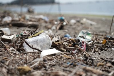 Śmieci do lasu? Grzywna 5000 zł i 30 dni pozbawi